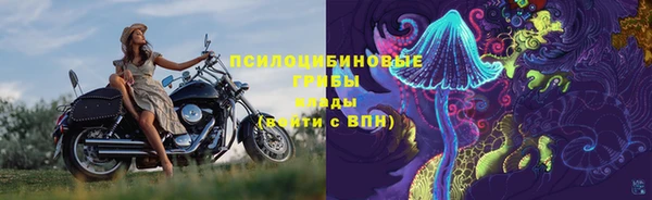 ПСИЛОЦИБИНОВЫЕ ГРИБЫ Сосновый Бор