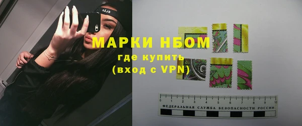 ПСИЛОЦИБИНОВЫЕ ГРИБЫ Сосновый Бор