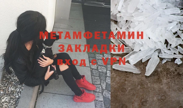 ПСИЛОЦИБИНОВЫЕ ГРИБЫ Вяземский
