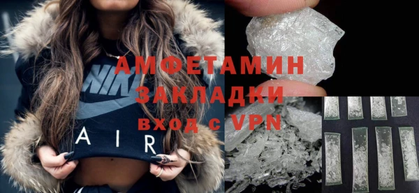 прущие грибы Вязьма
