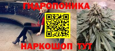 PSILOCYBIN Волжск