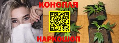 прущие крисы Волгодонск