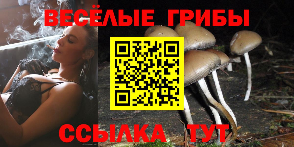 Псилоцибиновые грибы мухоморы Челябинск